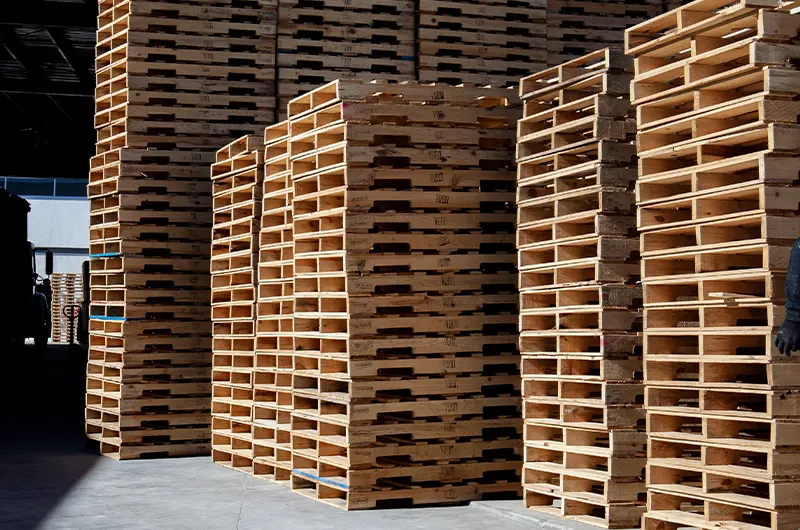 Tarimas nuevas